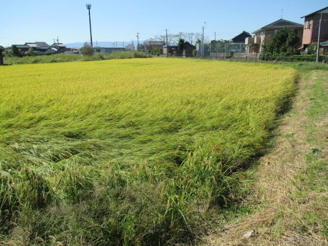 ５１１１２　羽島郡笠松町門間土地の外観