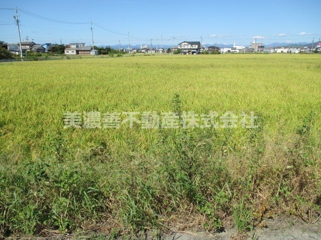 ５１１１３　羽島郡笠松町門間土地の外観