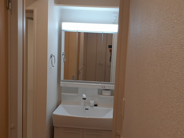 サンヴェール長者ヶ台Ａの洗面所