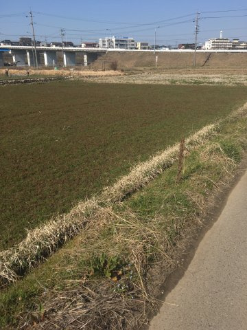 ５３０１０　美濃加茂市草笛町土地　