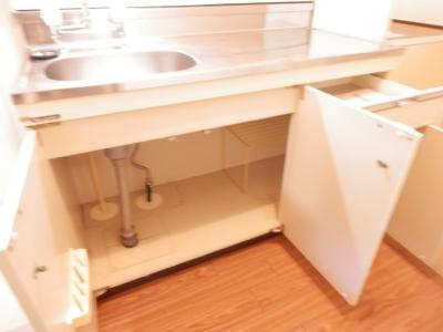 ヤングヴィレッジ嵯峨のその他|流し台