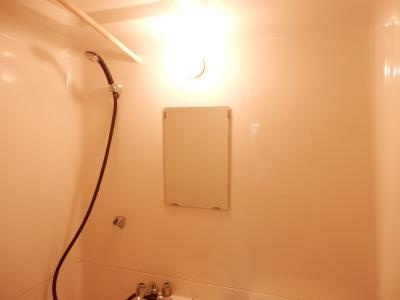 ヤングヴィレッジ嵯峨の洗面所
