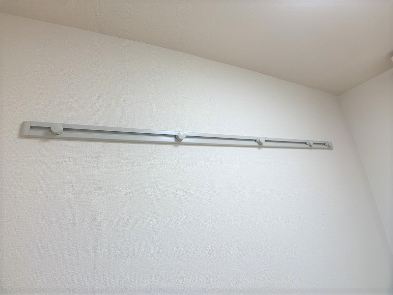 ステラのその他