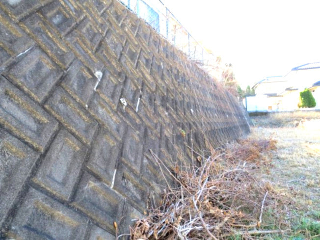 【その他】 | 坂田山4丁目（土地） | 東側隣地との高低差（法面の上）※左側の擁壁は隣地のものです