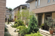 リンジュドゥプリムＥの画像