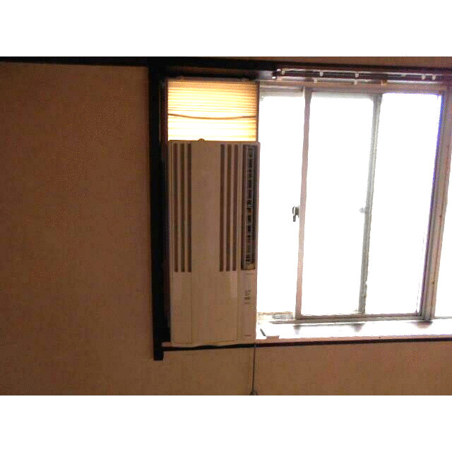 ウィンドファン付