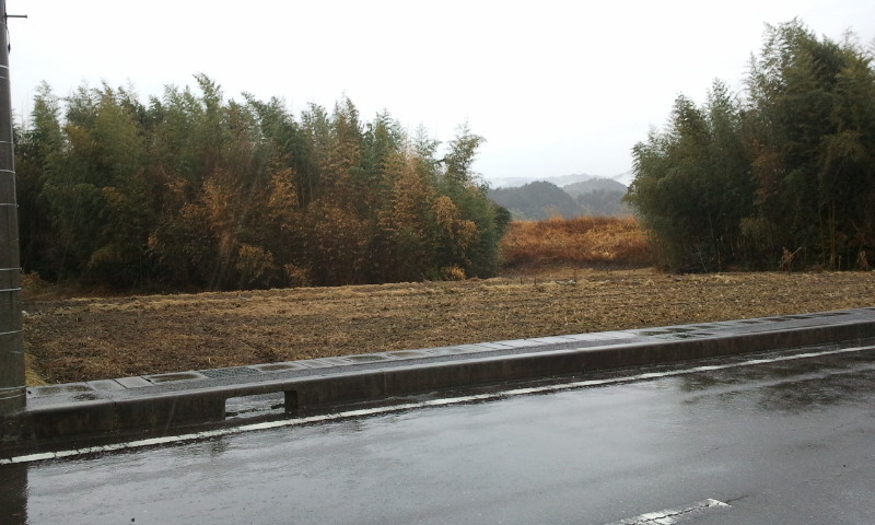 ４９７７８　美濃市生櫛土地　の前面道路含む現地写真