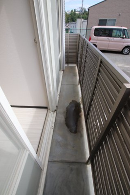 【バルコニー】 | パナハイツ今熊Ⅲ