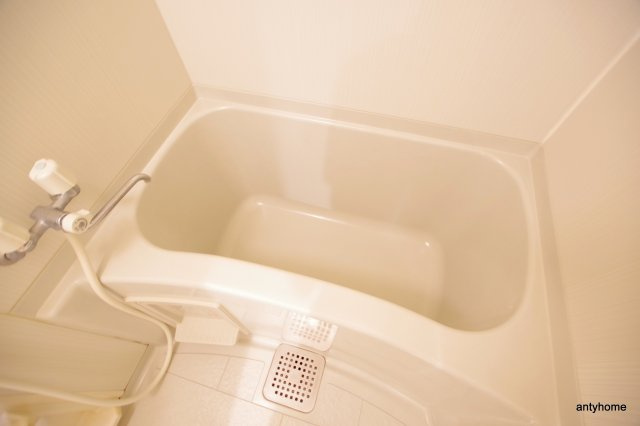 セイワパレス堂島シティ　仲介手数料無料の浴室