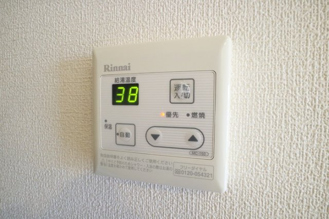セントラルセジュールのその他