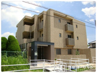 ブラウニーの画像