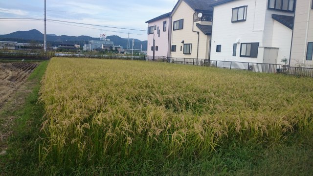 ４９１９３　岐阜市切通土地　の外観