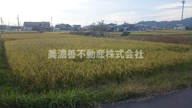 ４９１９４　岐阜市切通土地の外観