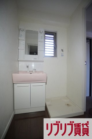 プラチナレジデンスの洗面所