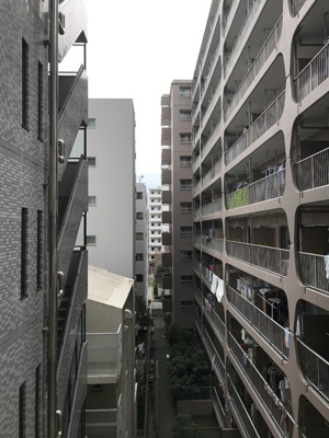 【展望】 | 第６メゾンドヨシノ | 景色