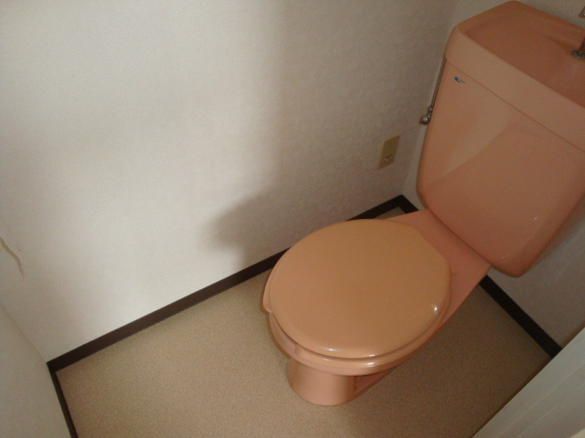 グリーンハイツ生圃のトイレ