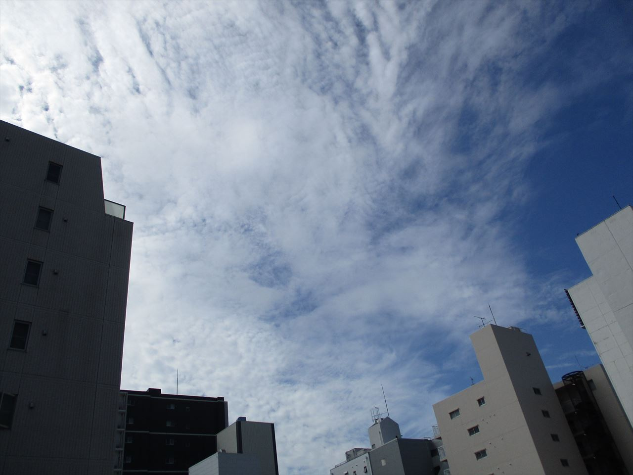 大須4丁目住居｜名古屋市の賃貸ならMy賃貸の展望|大須4丁目住居