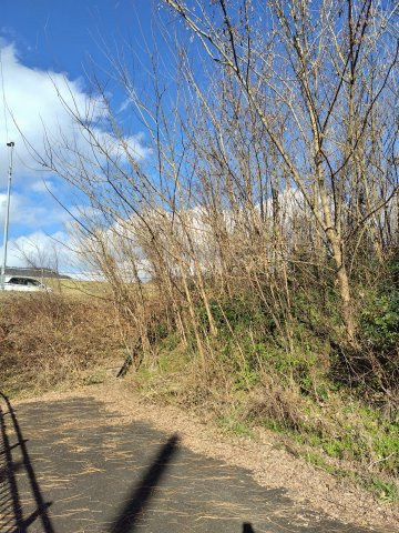 ４９０００　岐阜市日野西土地