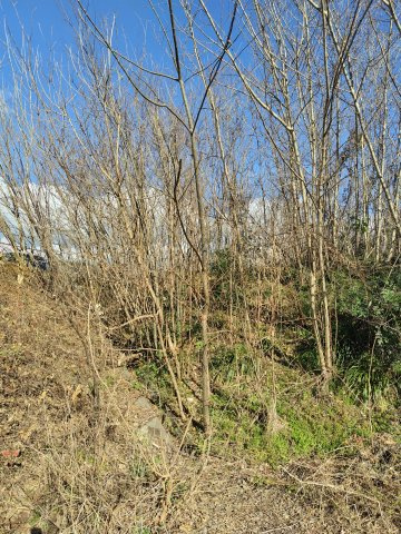 ４９０００　岐阜市日野西土地の外観