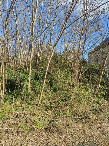 ４９０００　岐阜市日野西土地の外観