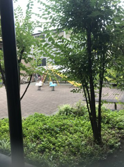【周辺】