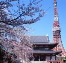 【周辺】 | 増上寺