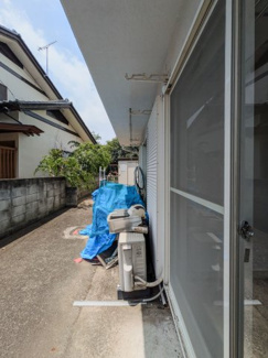 【その他】 | オオワダマリオン