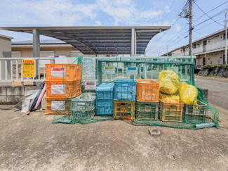 【その他】 | オオワダマリオン