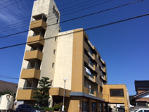 ルネ宮田の画像