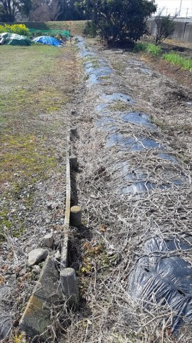 ４６７７２　岐阜市須賀土地の周辺|東側隣地との境界付近です