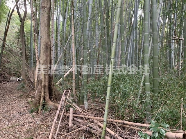 ４４９０８　岐阜市長森岩戸土地の外観