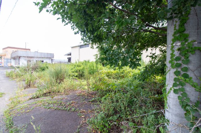 足利市南大町の売地の周辺|幹線道路沿いの利便性を活かして、事業の拠点づくりにもおすすめ。