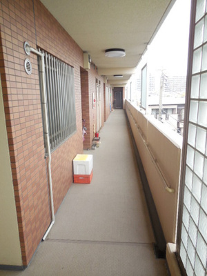 【その他共用部分】 | パールシャトレⅡ | 共用廊下
