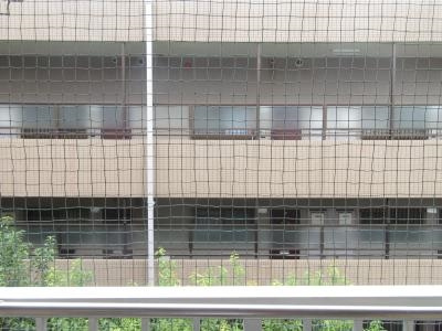シティハイツ三条のその他|南向き眺望