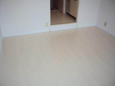 シティハイツ三条の内装|室内