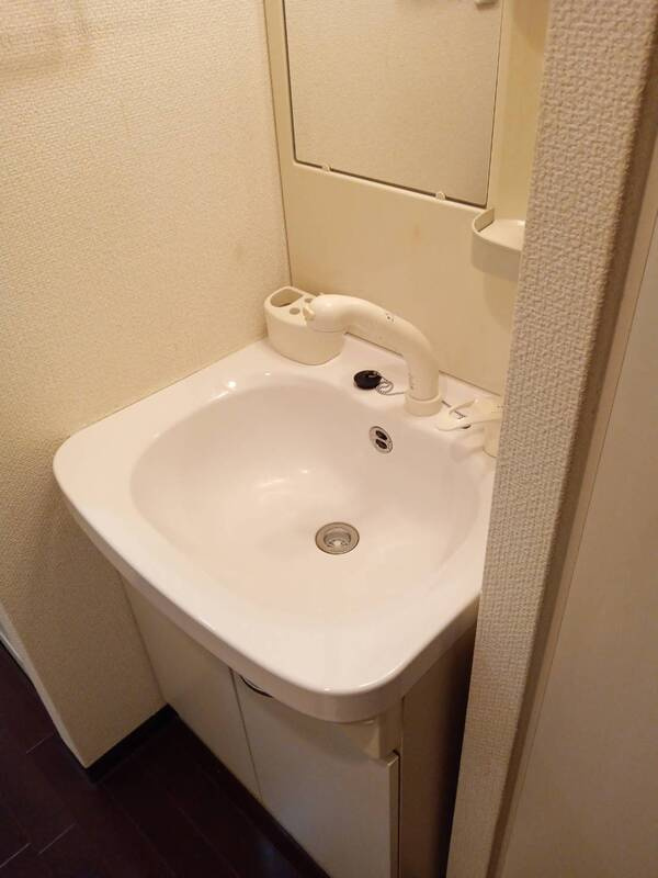 エステムプラザ京都烏丸五条の洗面所