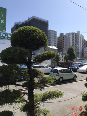 【展望】 | オレンジハイム | 景色