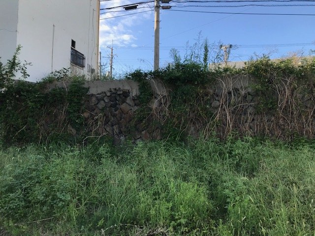 和歌山市中之島・土地・56560の外観