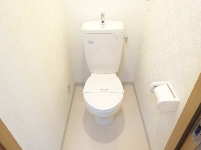 レディース金剛のトイレ