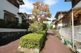 【周辺】 | 遊歩道