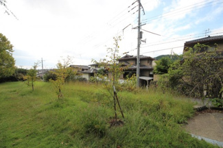 【周辺】 | 正面は小野妹子公園