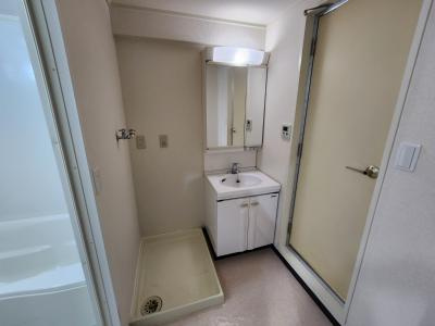グランドール西大路の洗面所|洗面脱衣所