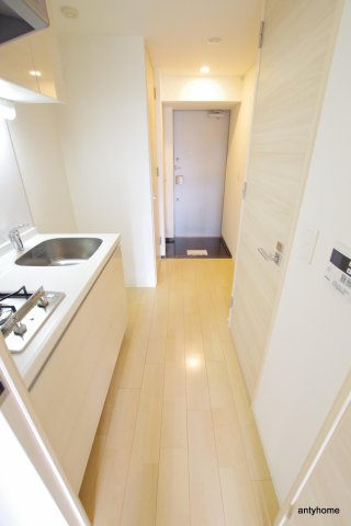 レジュールアッシュザ・パークフロント 　仲介手数料無料の玄関