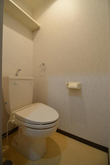 メゾン向陽のトイレ