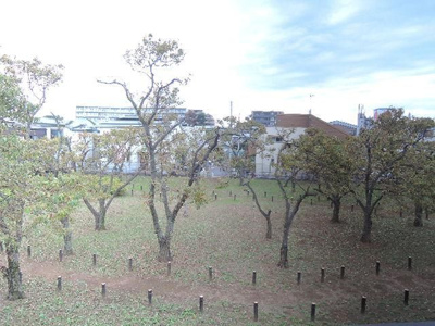 【展望】 | パールハイム