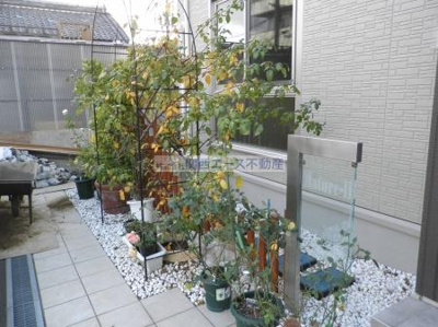 【周辺】 | Mature-11