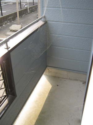 【バルコニー】 | コーポスズラン