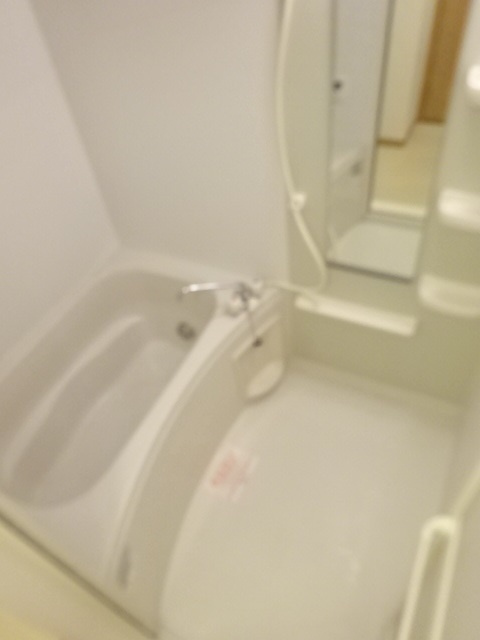 アルドールAの浴室