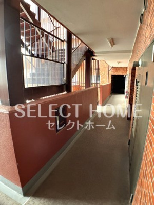  | シャンボール康生