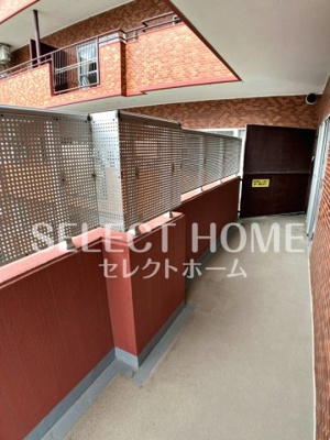  | シャンボール康生